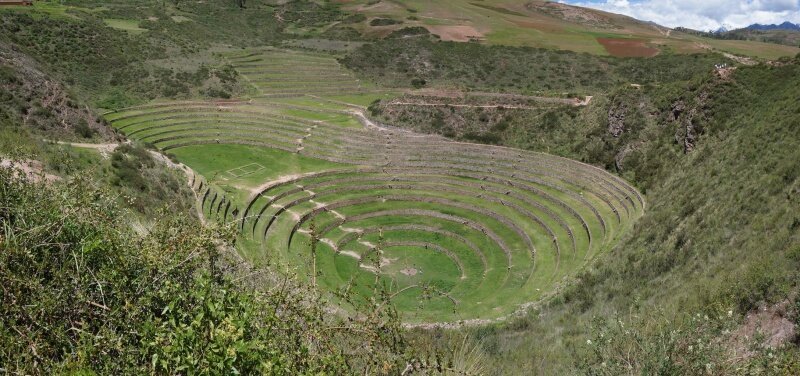 Les terrasses de culture de Moray