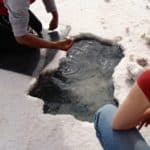 Salar d'Uyuni, Bolivie, critaux de sel