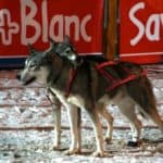 Megève, Savoie Mont Blanc