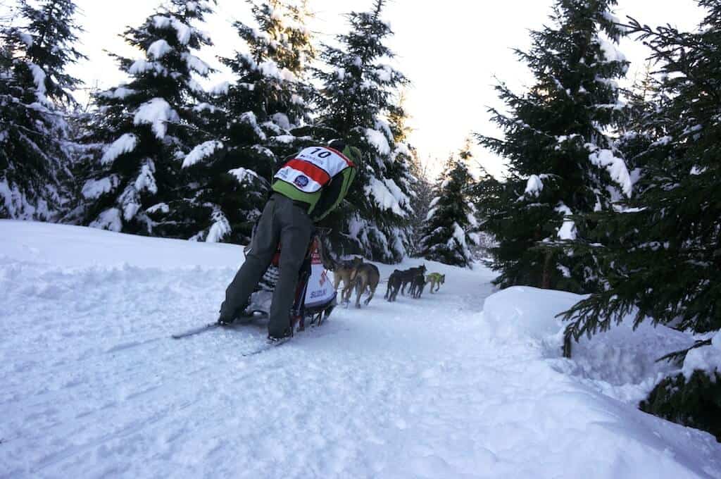 ça glisse à Savoie Grand Revard !