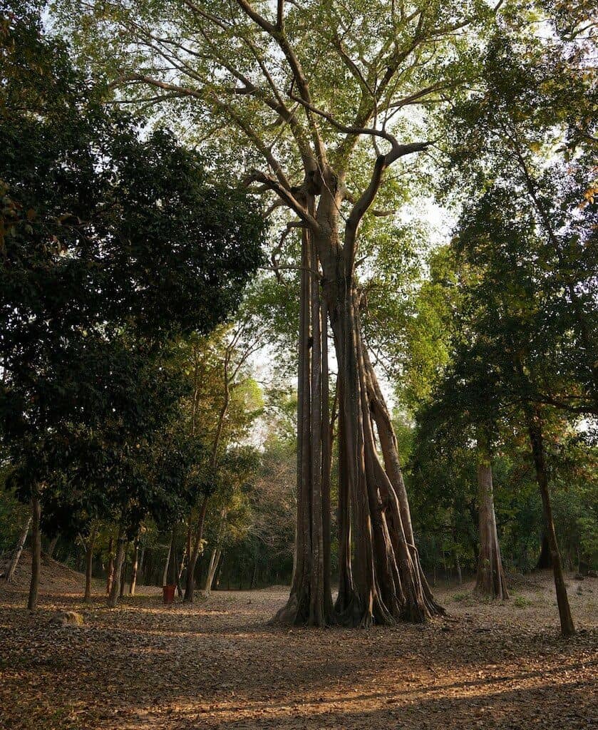 Sambor Prei Kuk, Kompong Thom, Cambodge