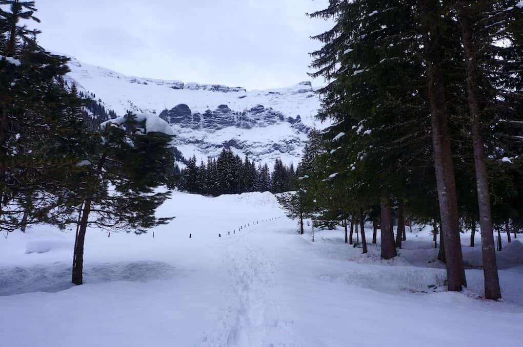 Savoie Grand Revard, Savoie Mont Blanc