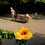 Phnom Penh, Cambodge