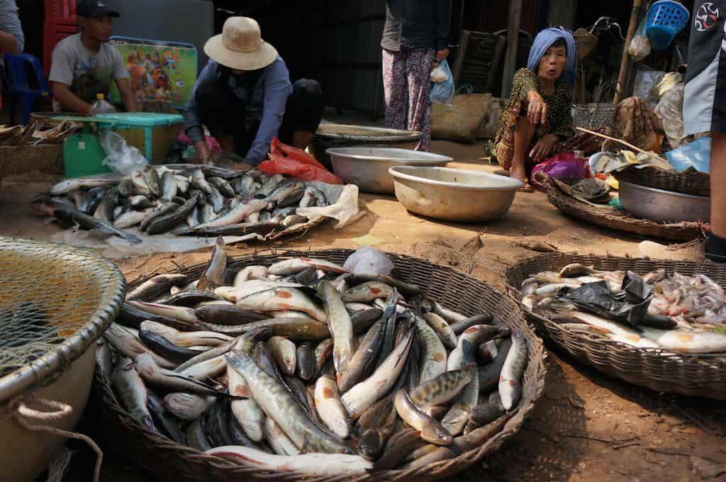 Vélo, Cambodge, Roluos