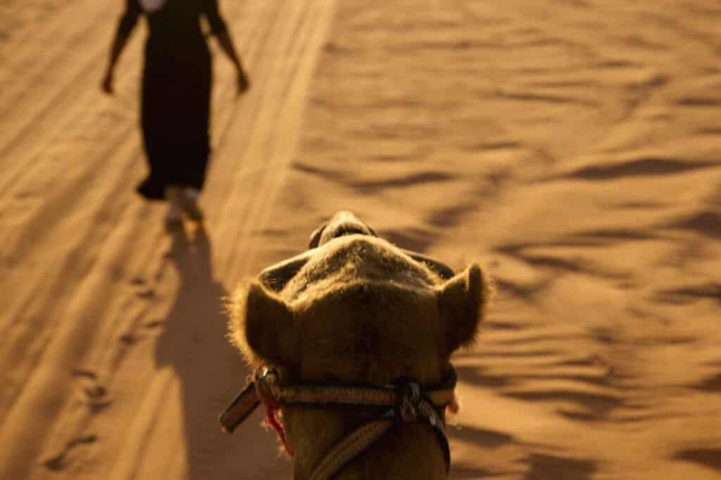 Jordanie, Wadi Rum, désert