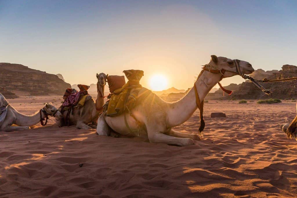 Jordanie, Wadi Rum, désert