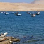 Paracas, Laguna Grande, Pérou