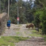 Wilcahuain, Huaraz, Pérou