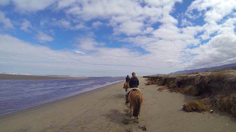 Chiloé, Cucao, Chili, Patagonie