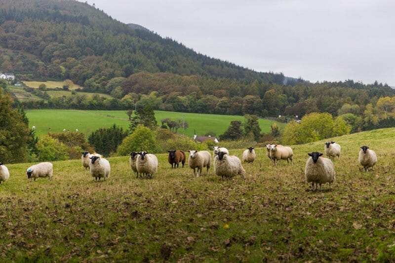 Irlande du Nord, Game of Thrones, Trône de fer