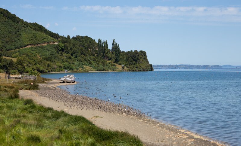 Chiloé, île, Chili