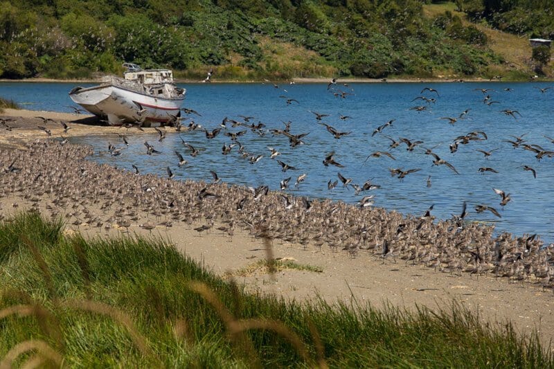 Chiloé, île, Chili