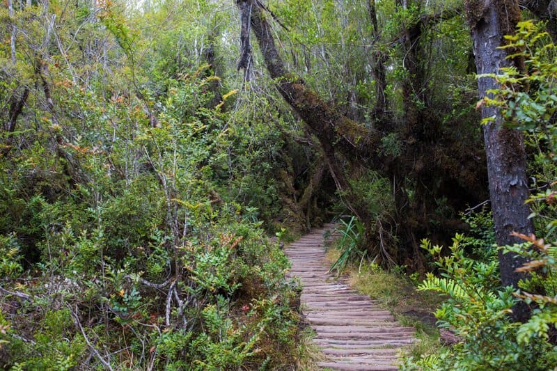 Chiloé, île, Chili