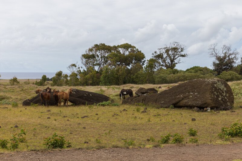 Rapa Nui, île de Pâques, Chili