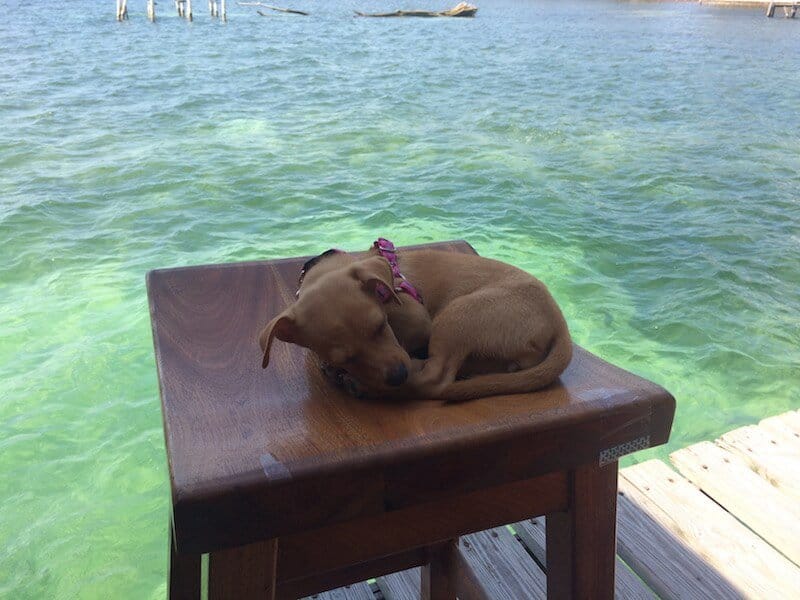 Caye Caulker, Belize, Amerique latine