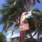 Caye Caulker, Belize, Amerique latine