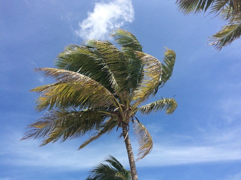 Caye Caulker, Belize, Amerique latine