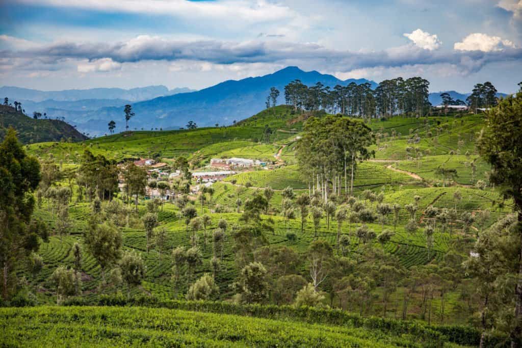 Sri Lanka, Asie, voyage, randonnée, Terdav