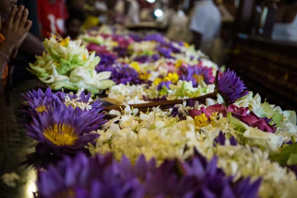 Esala Perahera, Sri Lanka, Kandy,