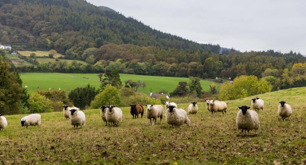 Irlande du Nord, Irlande,