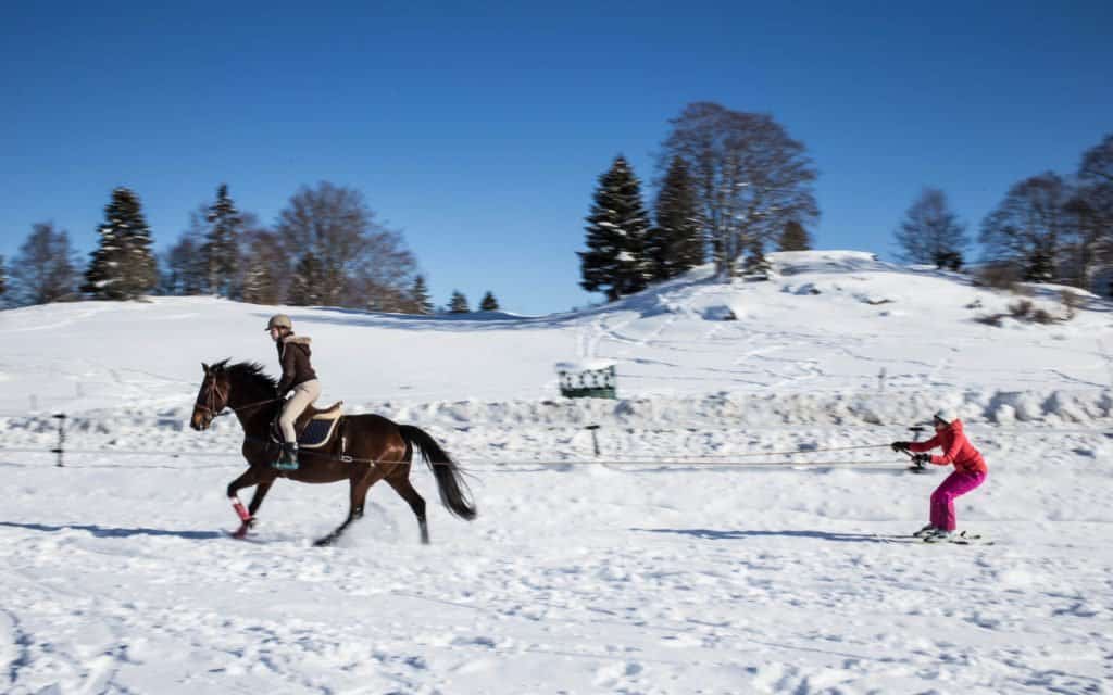 Jura, Montagnes du Jura, montagnes, France