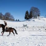 Jura, Montagnes du Jura, montagnes, France