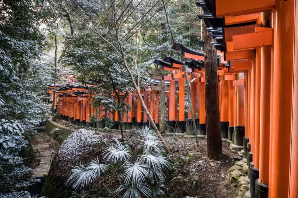 Japon, Kyoto, voyage