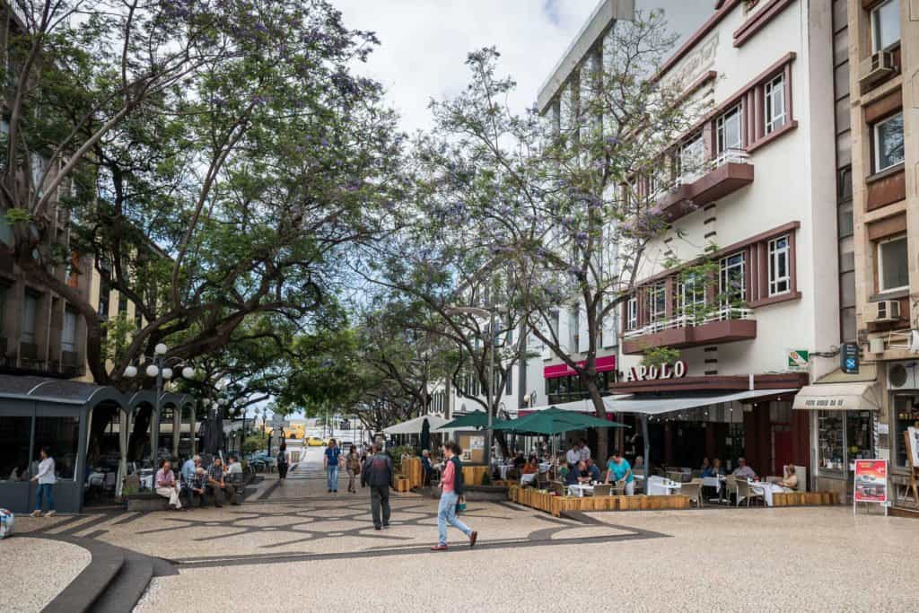 Madère, Madeira, Funchal, Portugal, ile, voyage