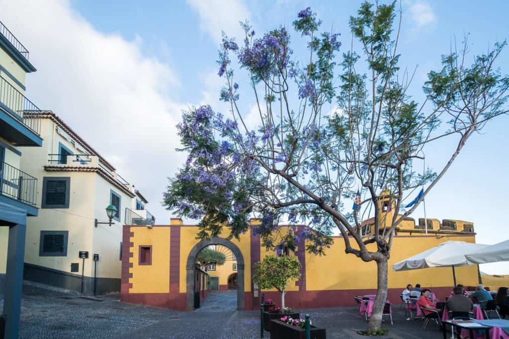 Madère, Madeira, Funchal, Portugal, ile, voyage