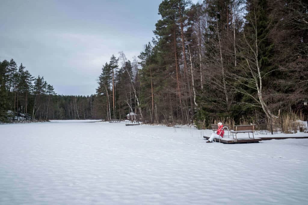 Finlande, voyage, hiver, Lahti, Päijänne, Helsinki