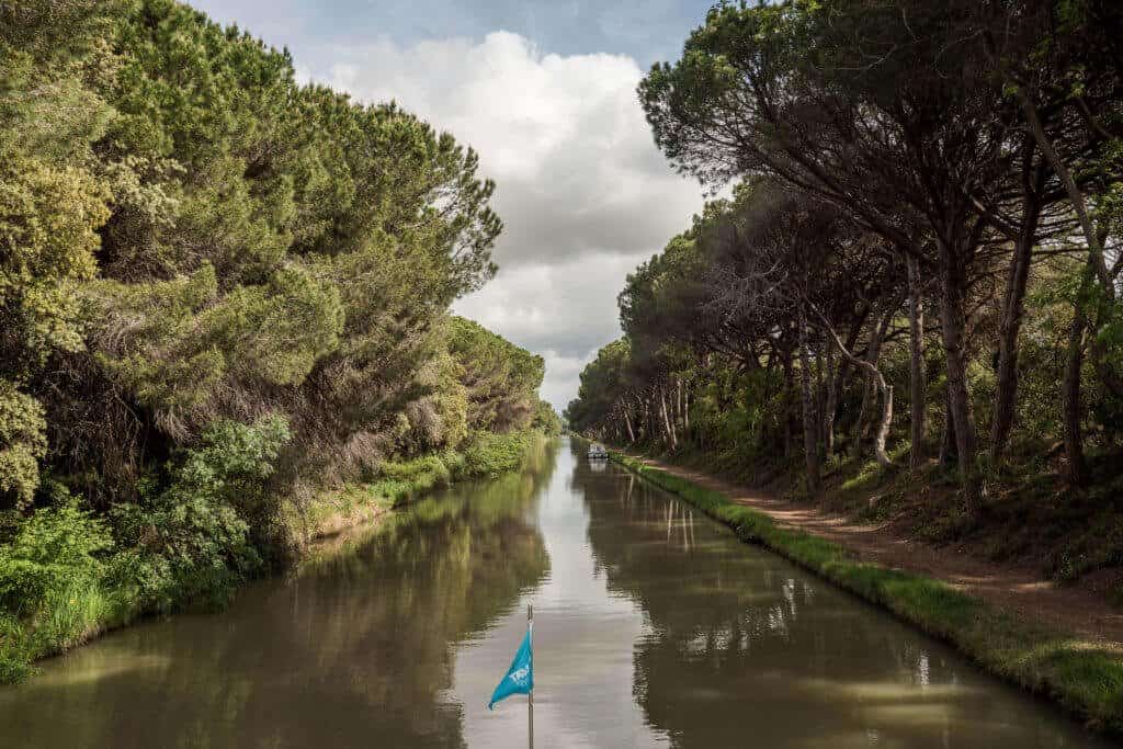 péniche, canal du Midi, vacances, France