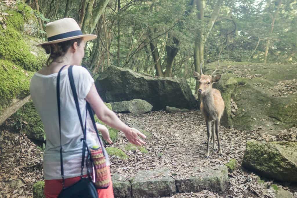 Japon, Miyajima, voyage