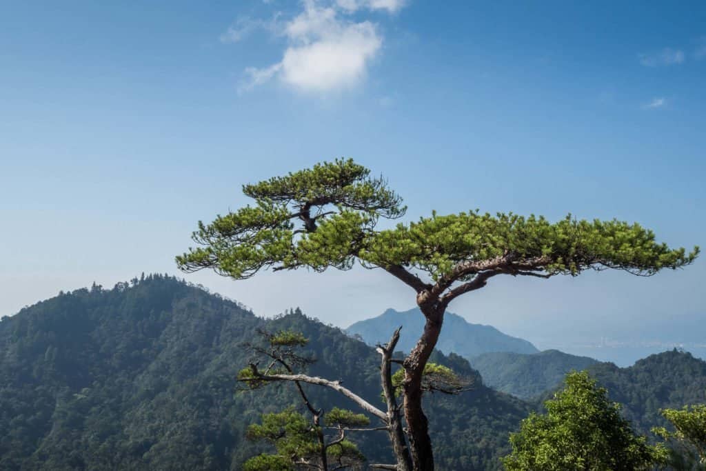 Japon, Miyajima, voyage