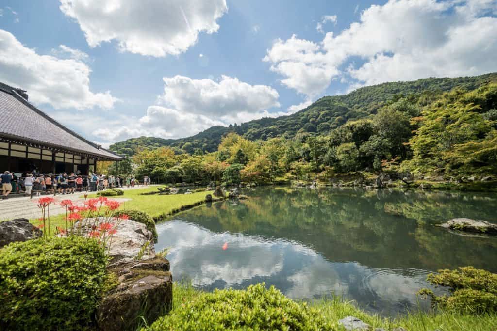 Japon, voyage, Arashiyama, Kyoto, bambou, singe, macaque, Iwatayama