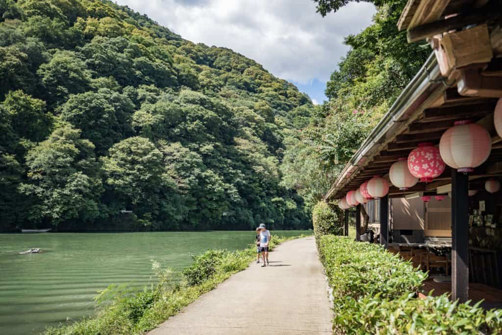 Japon, voyage, Arashiyama, Kyoto, bambou, singe, macaque, Iwatayama