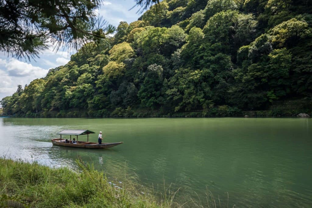 Japon, voyage, Arashiyama, Kyoto, bambou, singe, macaque, Iwatayama