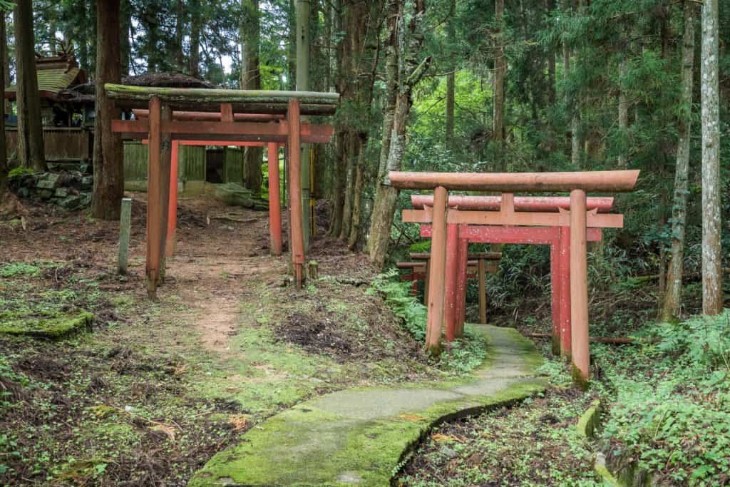 Koya, Mont, Japon, voyage