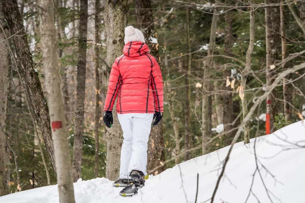 Canada, Québec, Québec city, Québec ville, voyage, hiver, neige