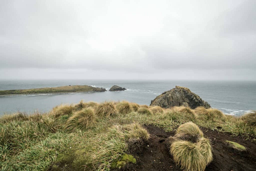 Patagonie, croisière, Antarctique, cap Horn, Drake