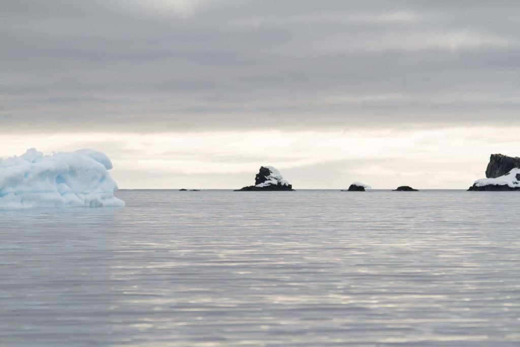 croisière, Antarctique, pingouin, manchot,