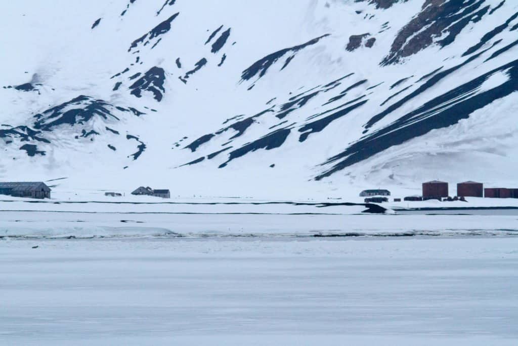 croisière, Antarctique, baleine