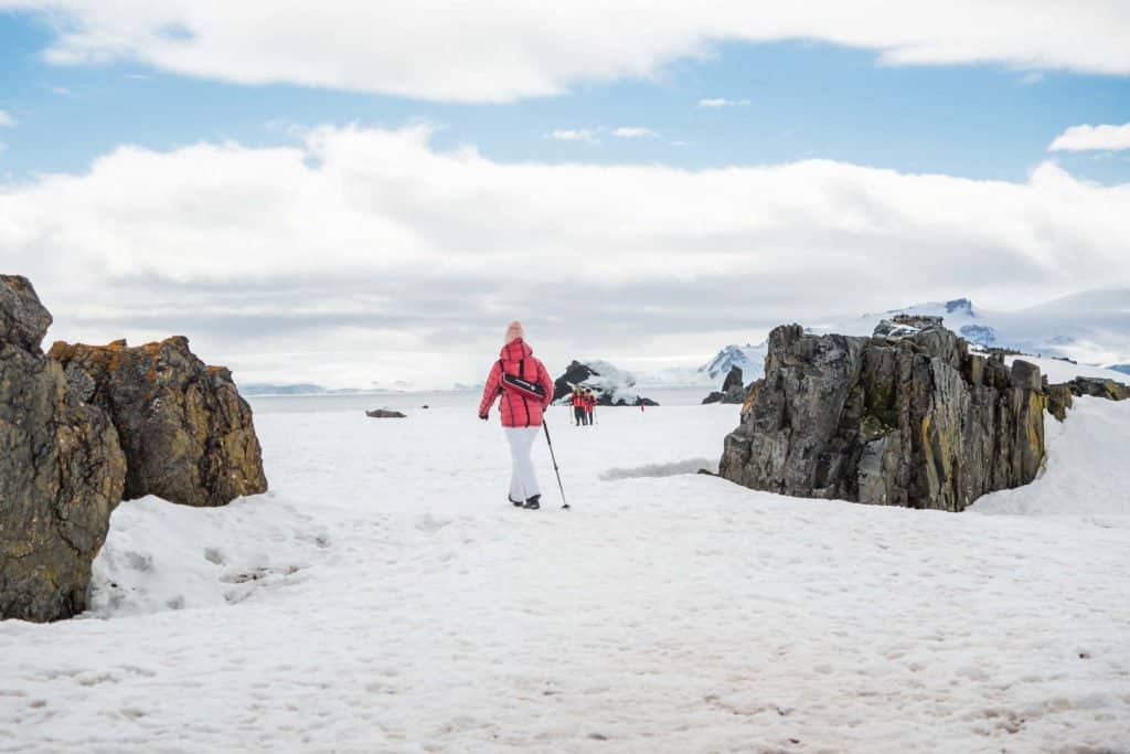 croisière, Antarctique, pingouin, manchot,