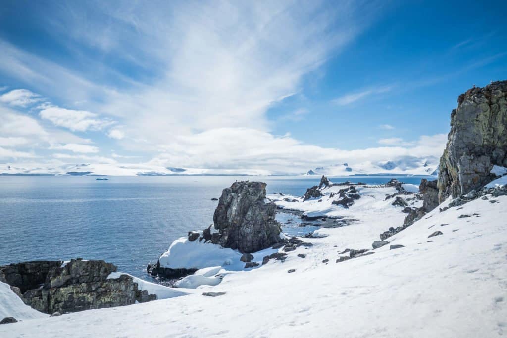 croisière, Antarctique, pingouin, manchot,