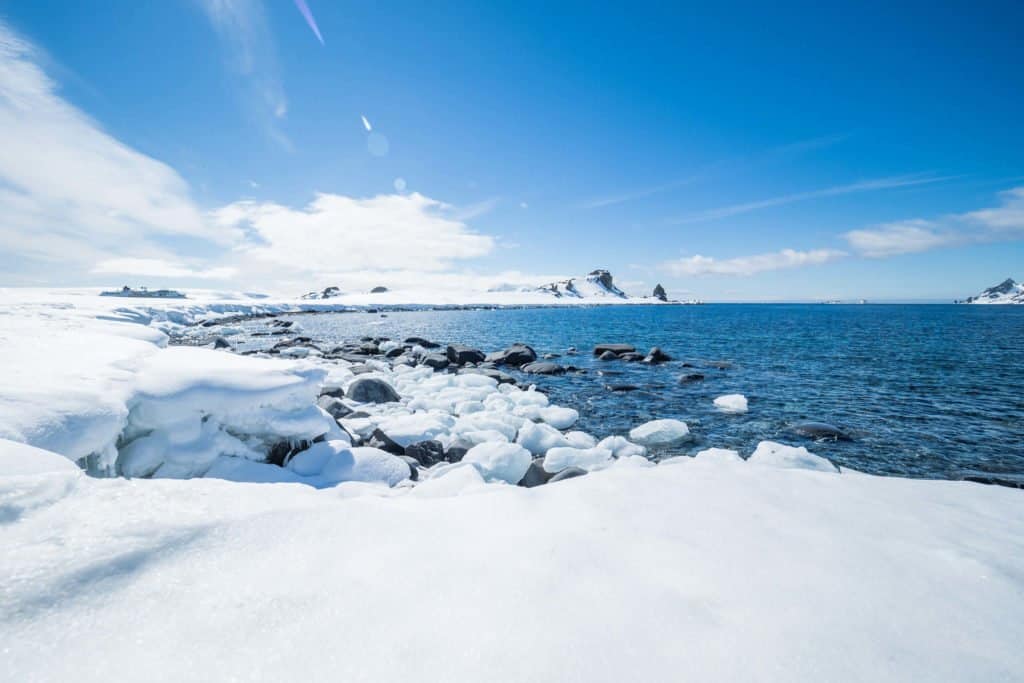 croisière, Antarctique, pingouin, manchot,