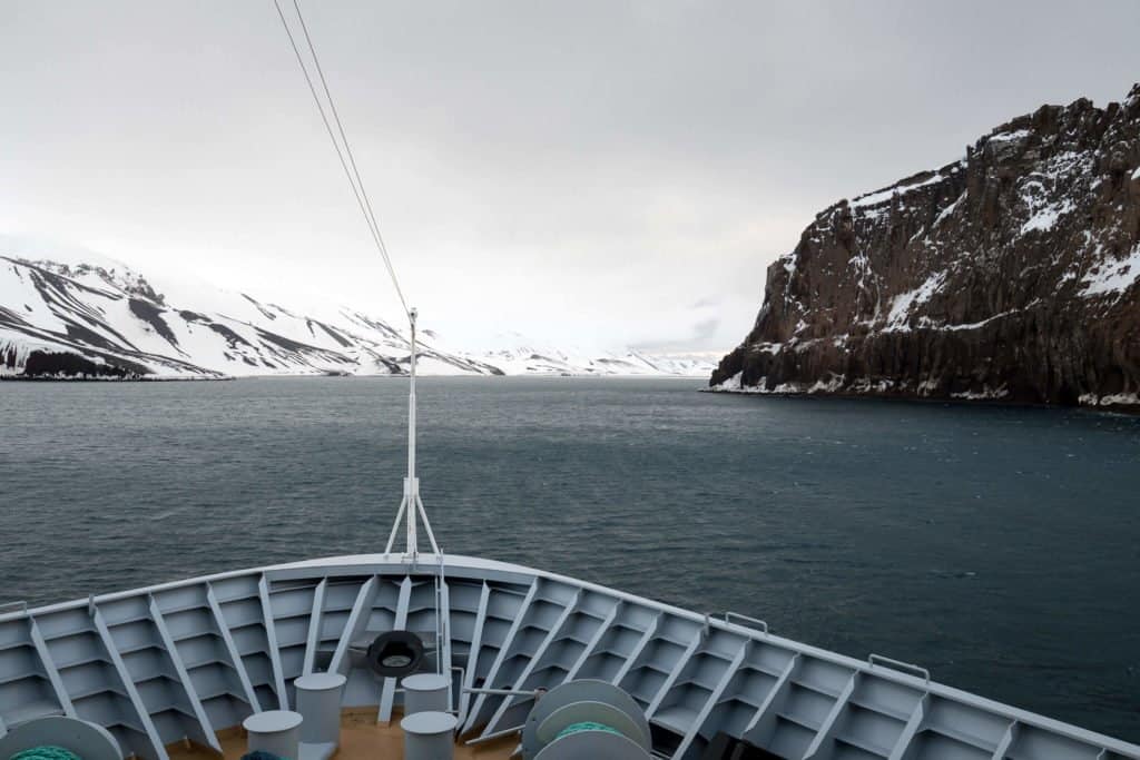 croisière, Antarctique, pingouin, manchot,