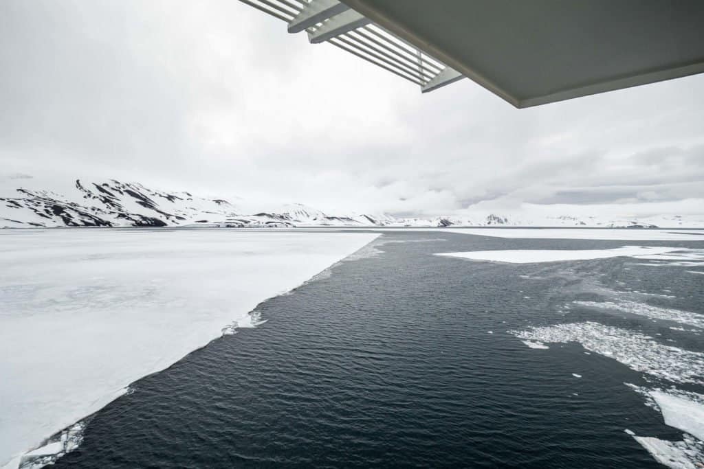 croisière, Antarctique, pingouin, manchot,