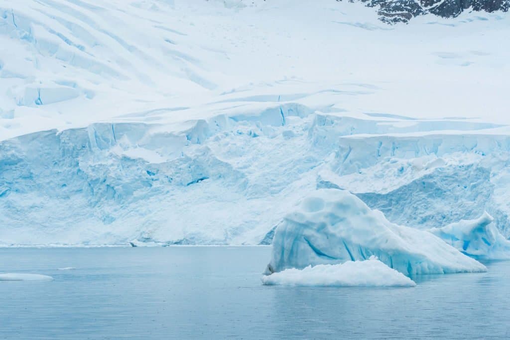 croisière, Antarctique, photo, Pôle Sud, glace