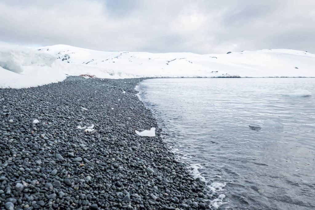 croisière, Antarctique, pingouin, manchot,