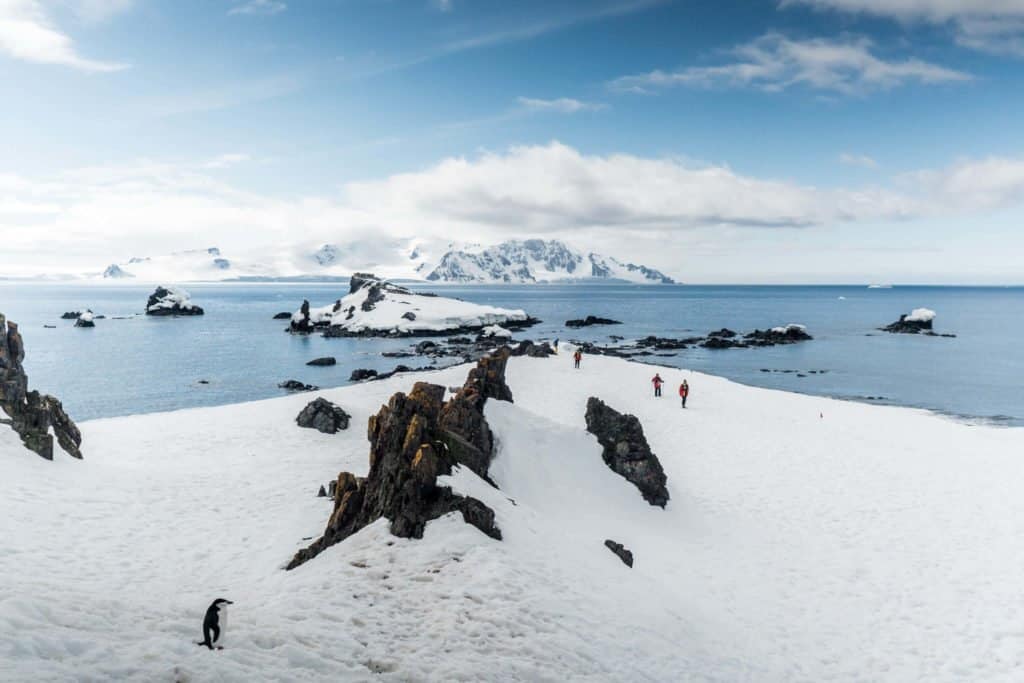 croisière, Antarctique, pingouin, manchot,