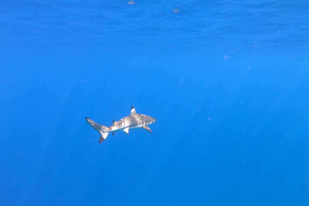 Polynésie, iles, Bora Bora